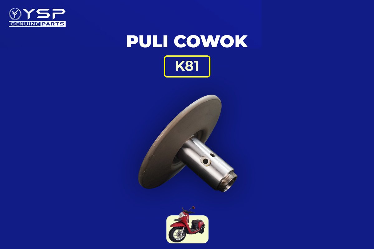 Puli Cowok (Scoopy)