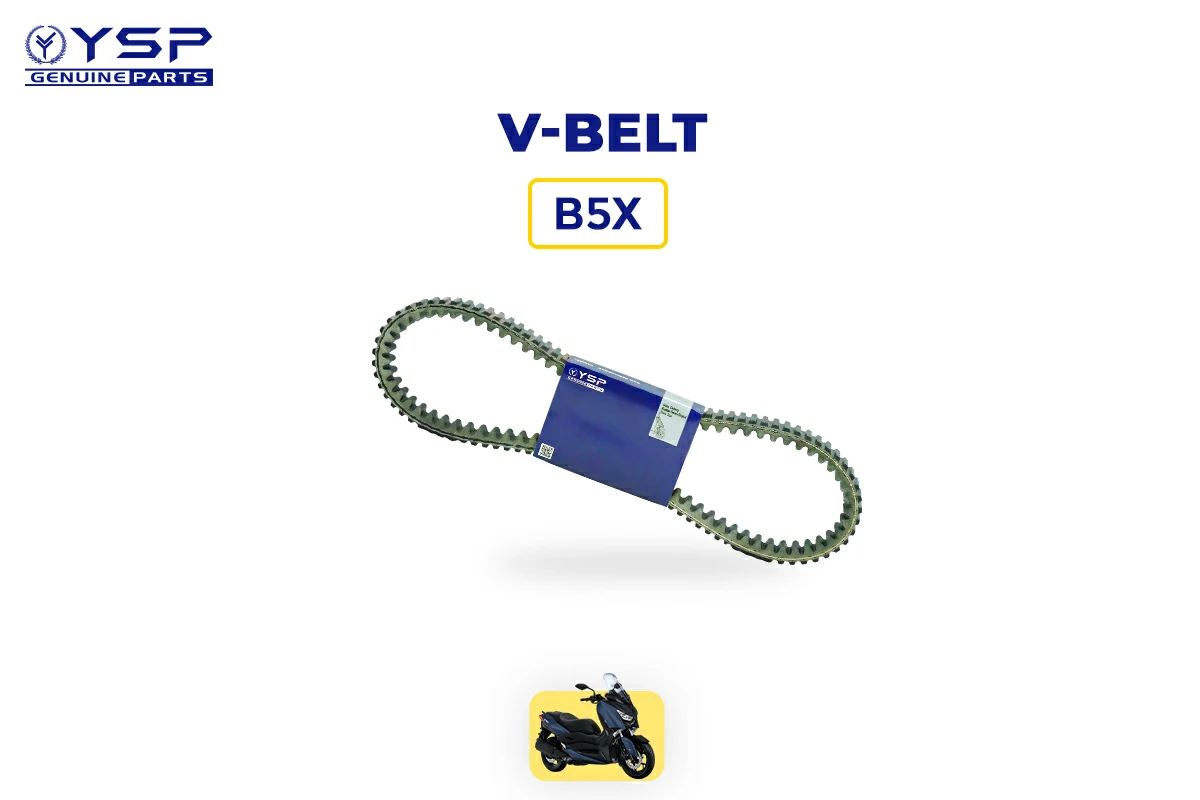 v-belt (b5X)