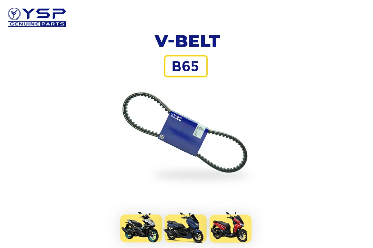 v-belt (B65)